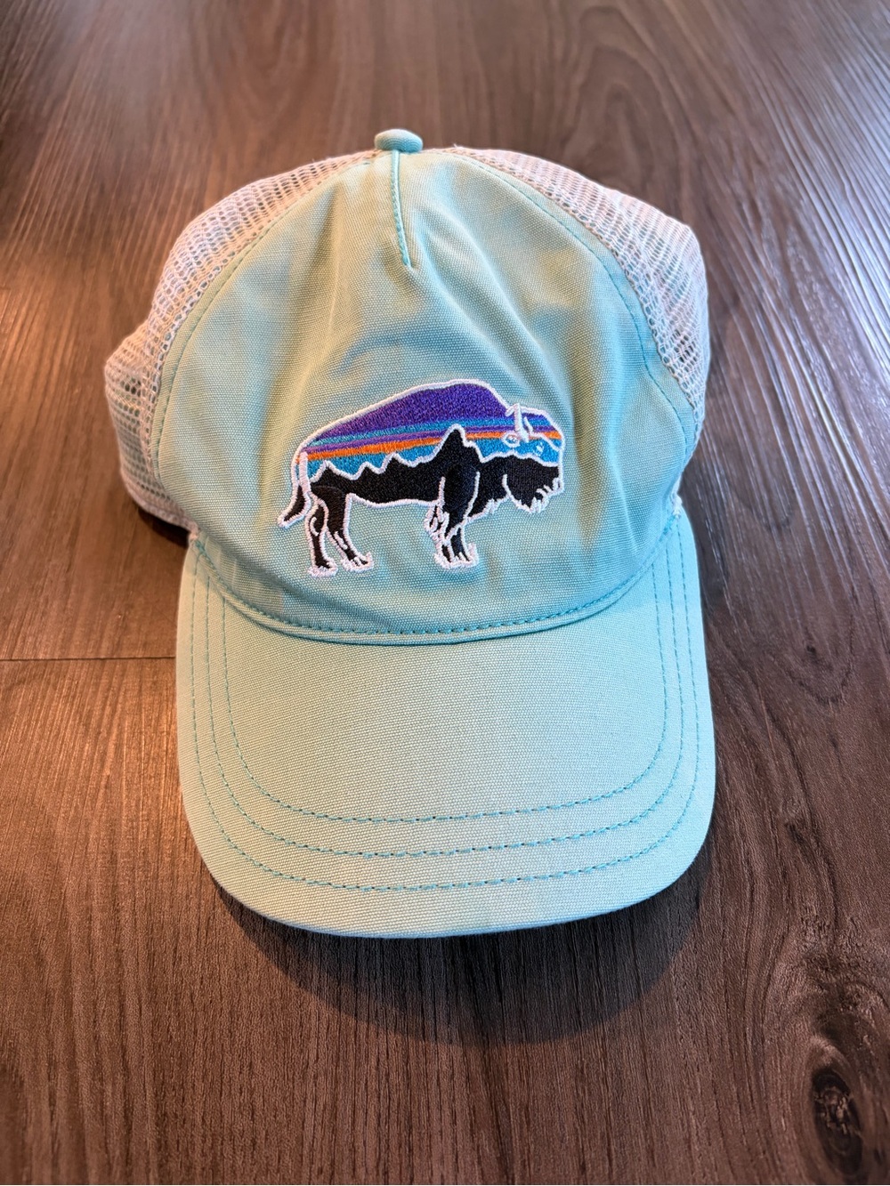 Patagonia Hat Mint Green Mesh Trucker Hat with Buffalo Patch